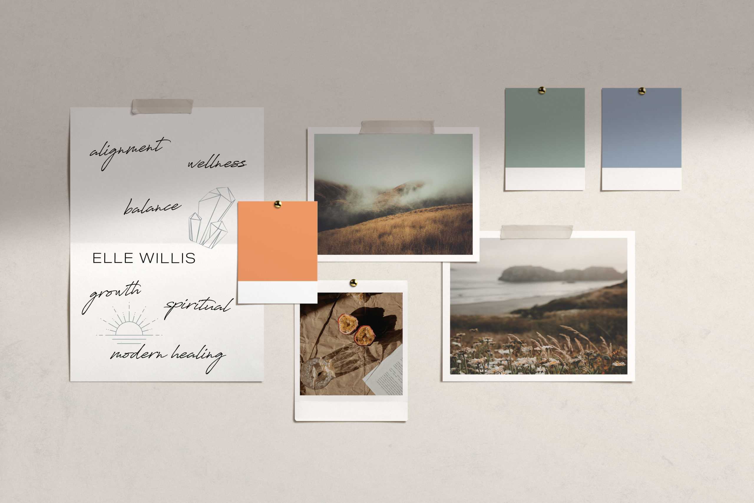 elle willis branding mood board